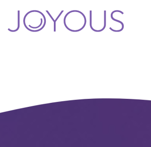 joyous.team review